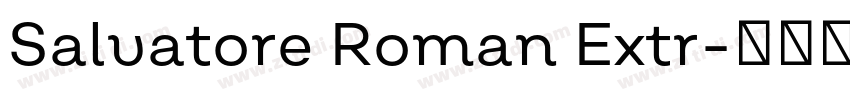 Salvatore Roman Extr字体转换 Salvatore Roman Extr字体转换